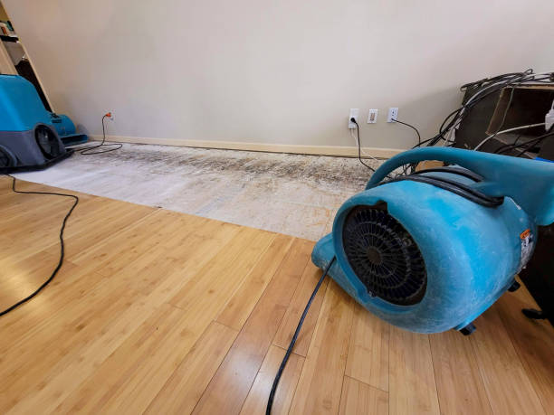 Professional Burst Pipe Water Damage technician working in Lawson, MO